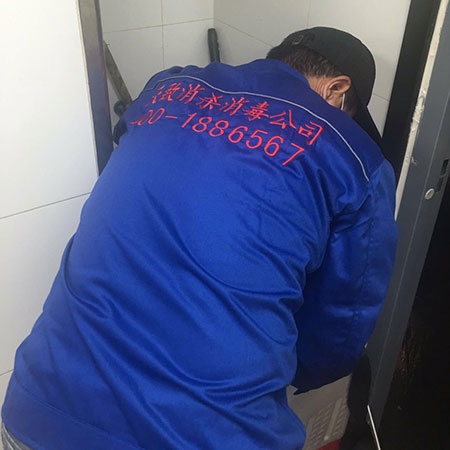 山东专业消毒服务