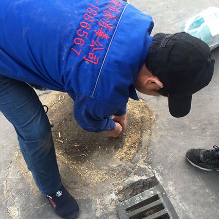 山东专业消毒服务